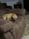 MARCO - Photo 3