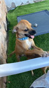 MARCO - Photo 4