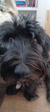 FERGUS #2 - Photo 1