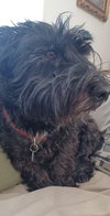 FERGUS #2 - Photo 2