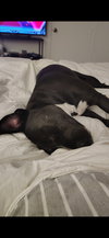 BILLY #2 - Photo 5