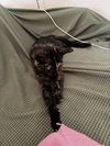 BUTTERS - Photo 5
