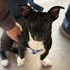 MALCOLM #3 - Photo 1