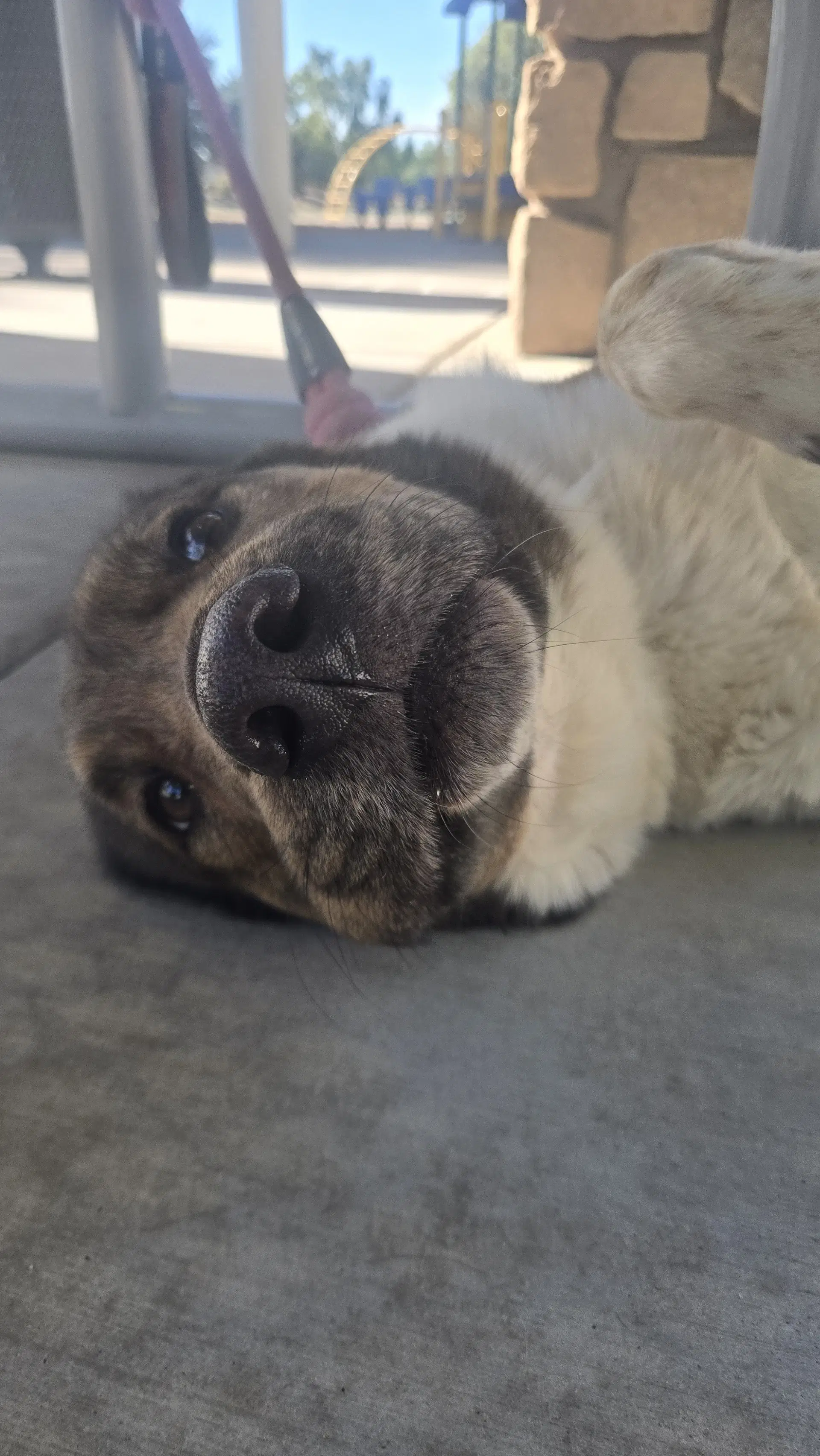 Marnie image 2