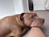 LOLA #16 - Photo 2