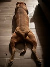 LOLA #16 - Photo 3