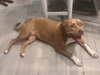 LOLA #16 - Photo 4