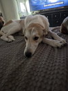 PEACHES #4 - Photo 3
