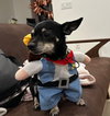SAWYER - Photo 1