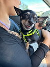 SAWYER - Photo 4