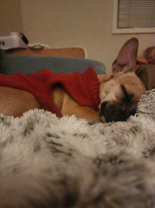 PIP #2 photo 6