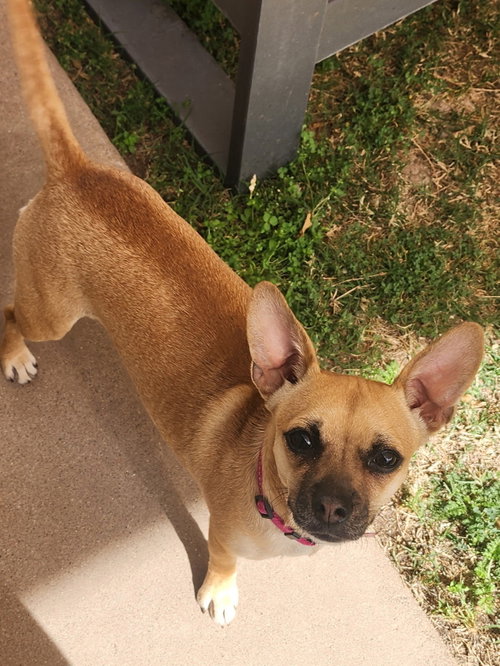 PIP #2 photo 2
