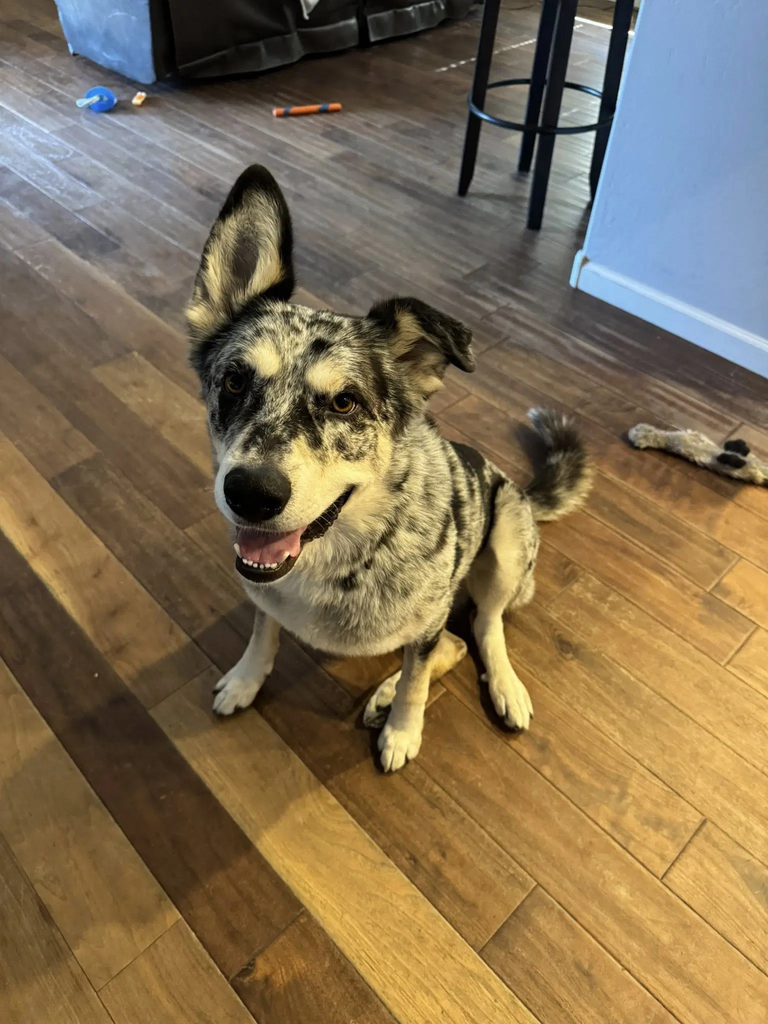 Athena image 3