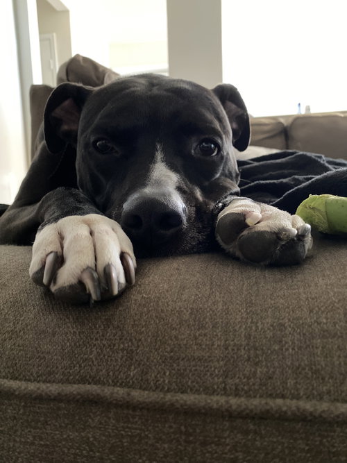 TUCKER #9 photo 5