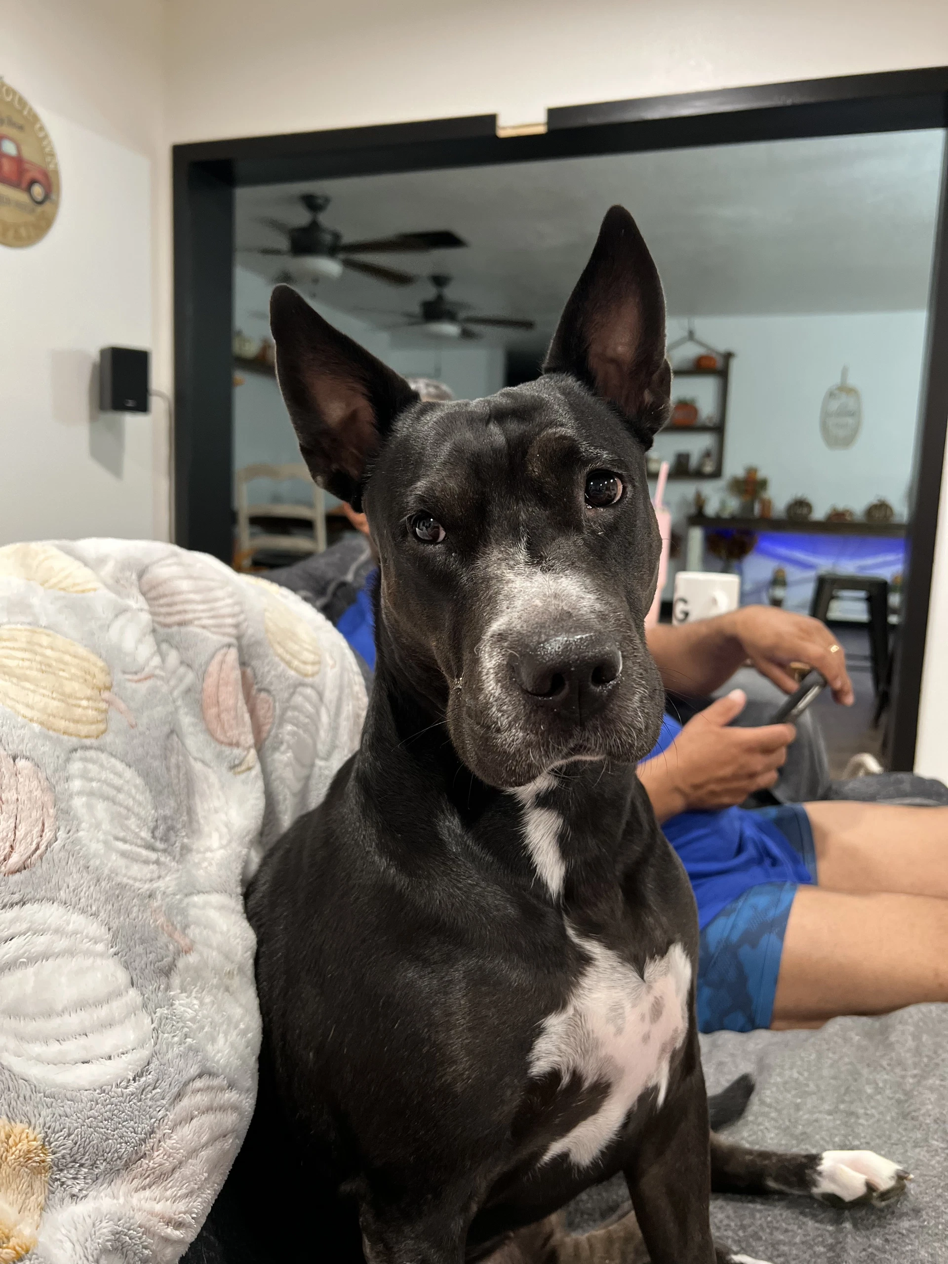 Daisy