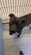ONYX #2 - Photo 3