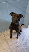 ONYX #2 - Photo 1