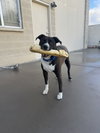 DUKE #24 - Photo 1