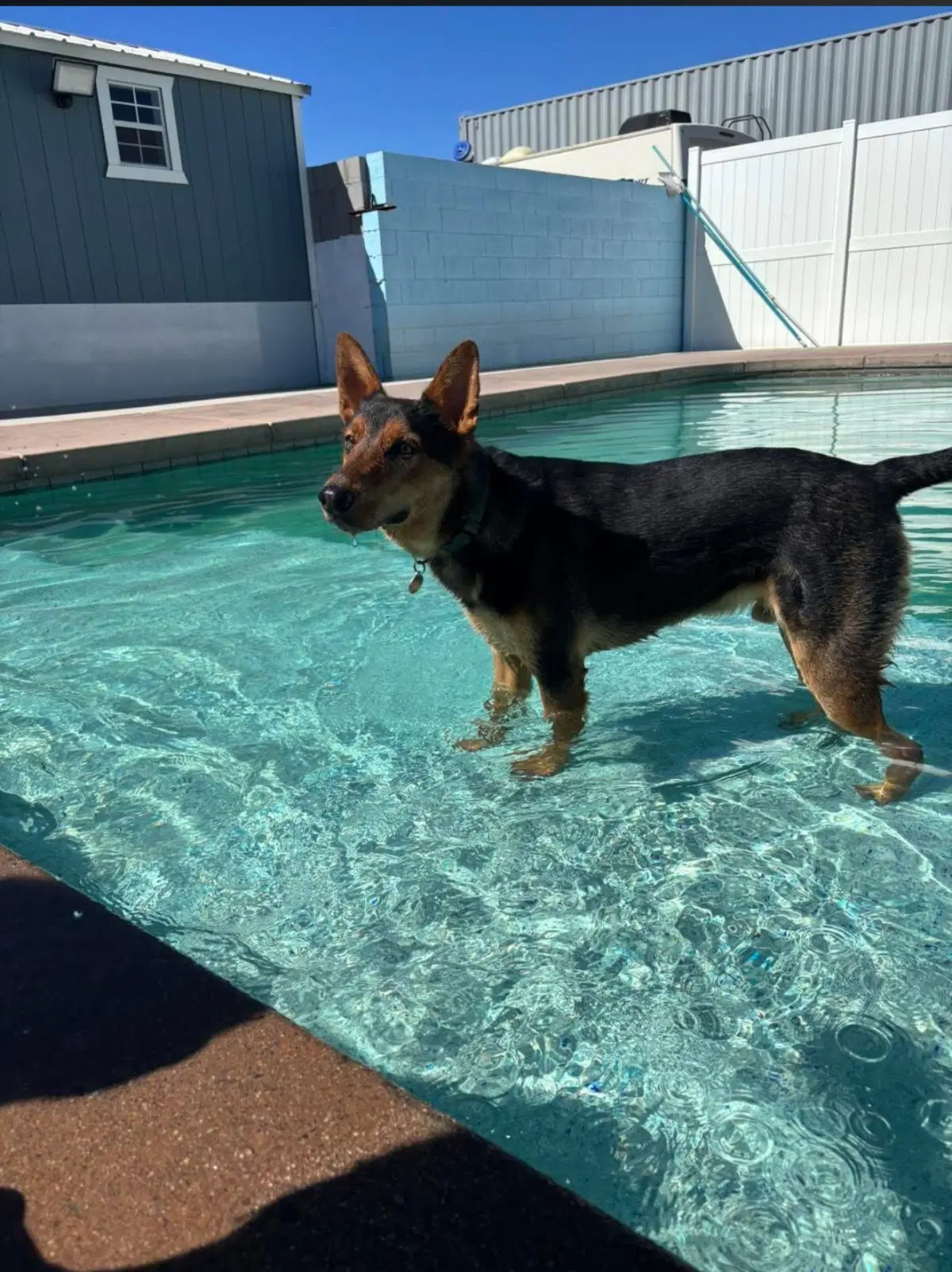 Loki image 2