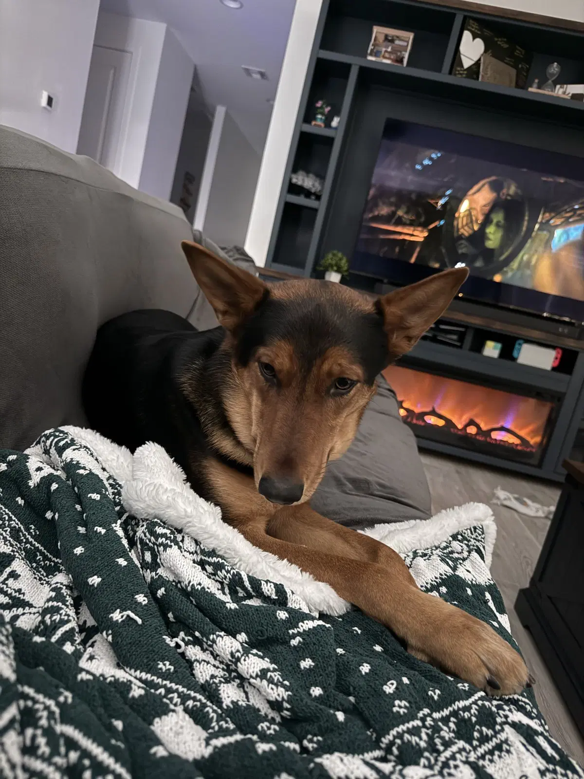 Loki image 4