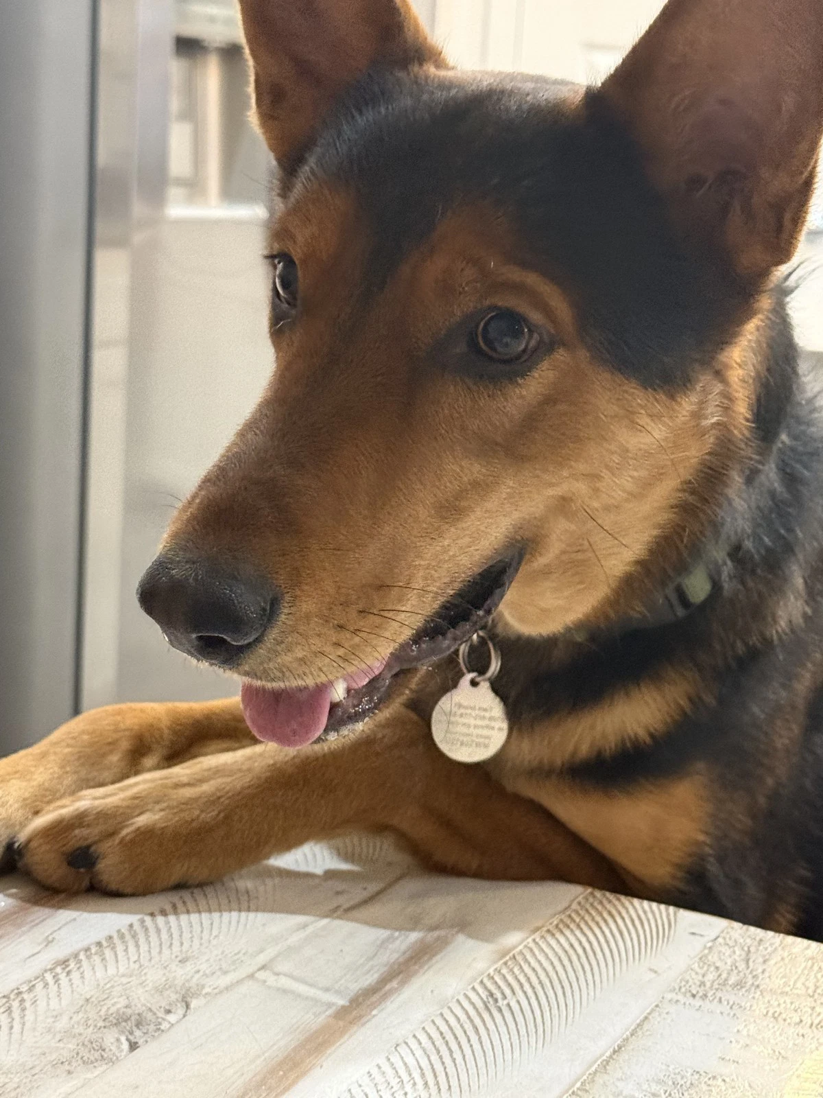 Loki