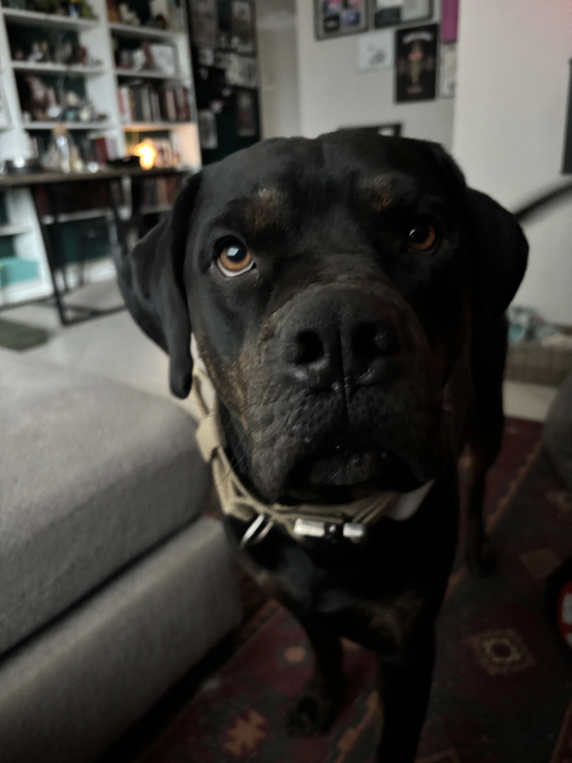 Tank