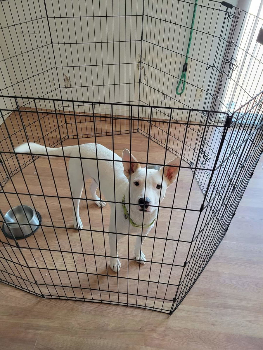 TOBY #10