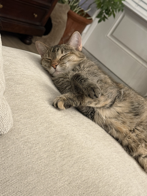 Photo 3 of EMBER
