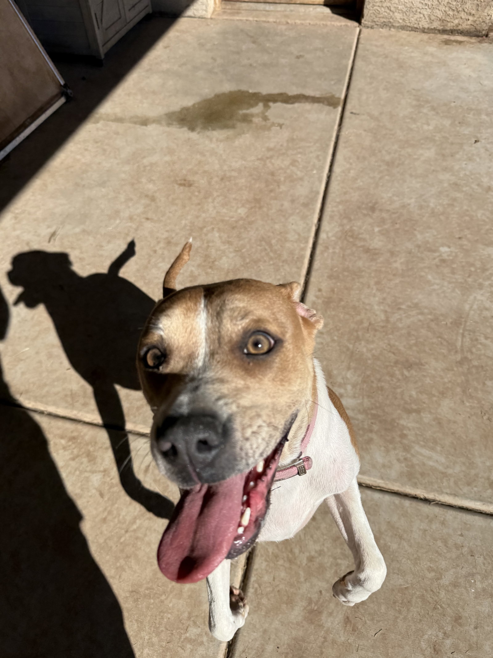 LUNA, photo 11