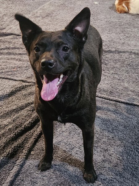 Photo 3 of MAGGIE