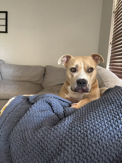 Winston #7