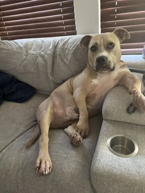 Winston image 2