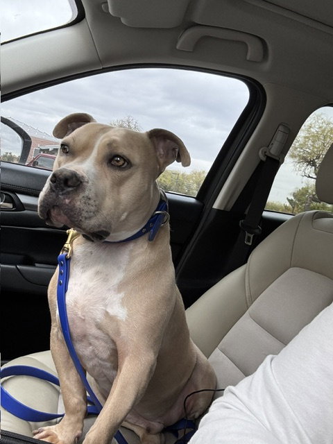 Winston #7 photo 6