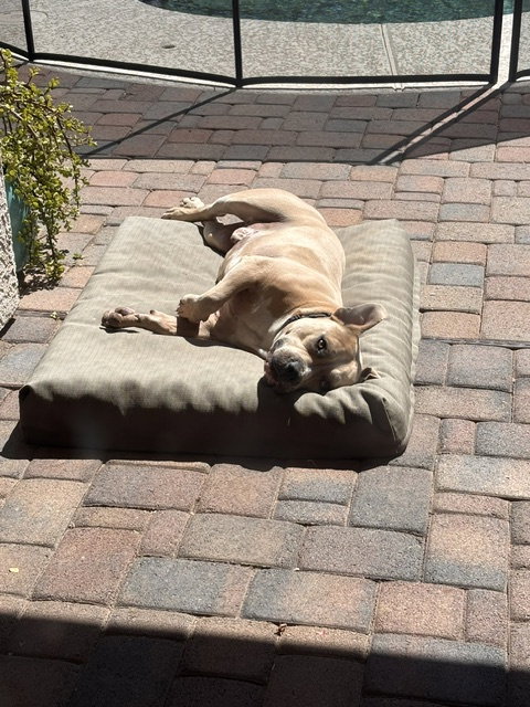 Winston #7 photo 9