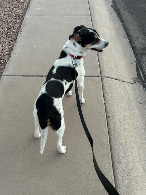 LUKE #3, photo 3