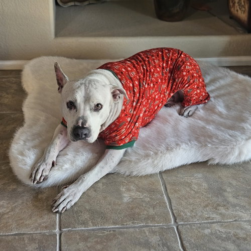 MARTY, photo 2