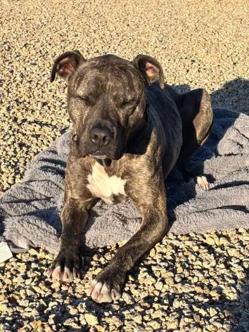 Zeus image 2