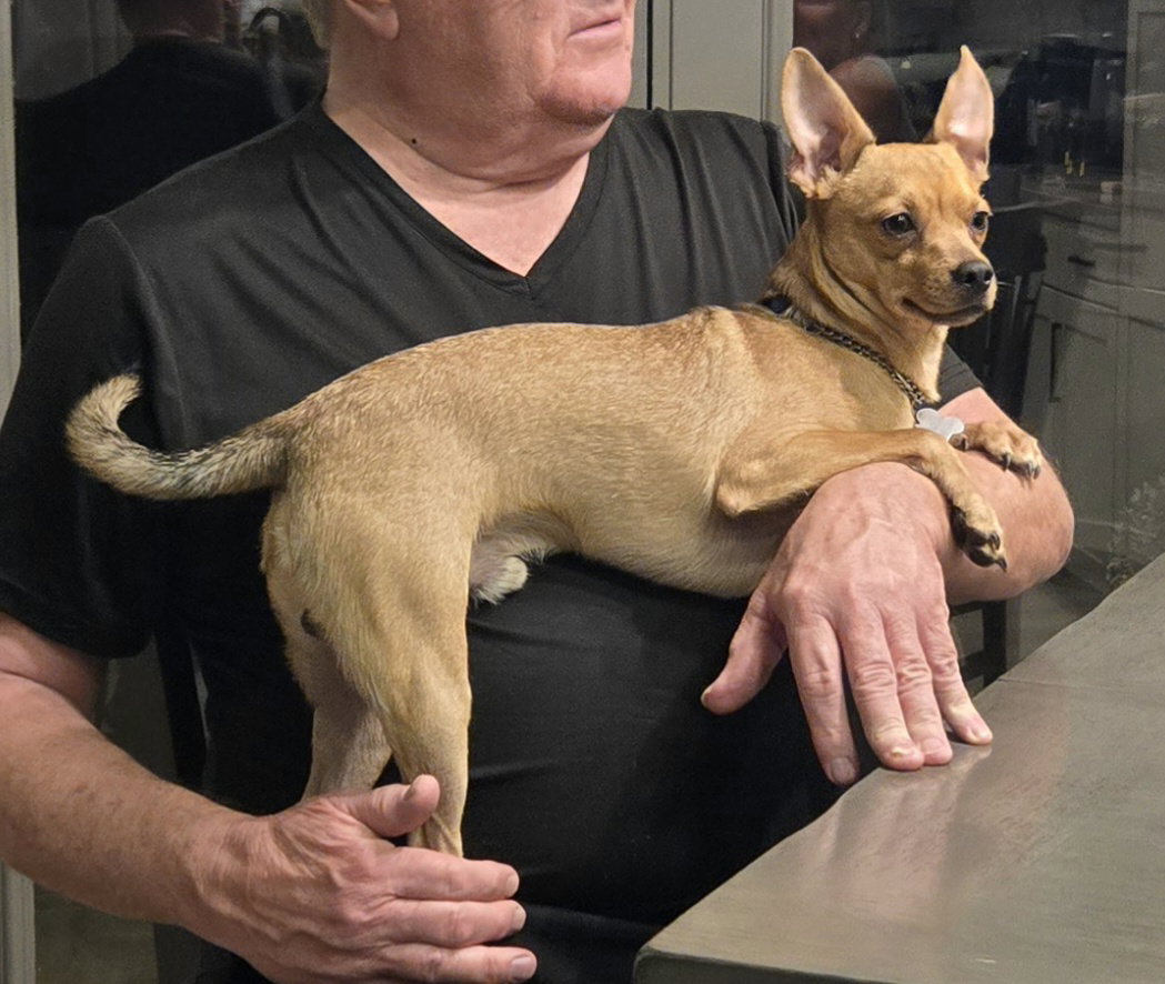 BUSTER, photo 4