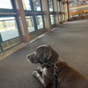Ella Mae Roo - Photo 2