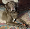 Ella Mae Roo - Photo 8