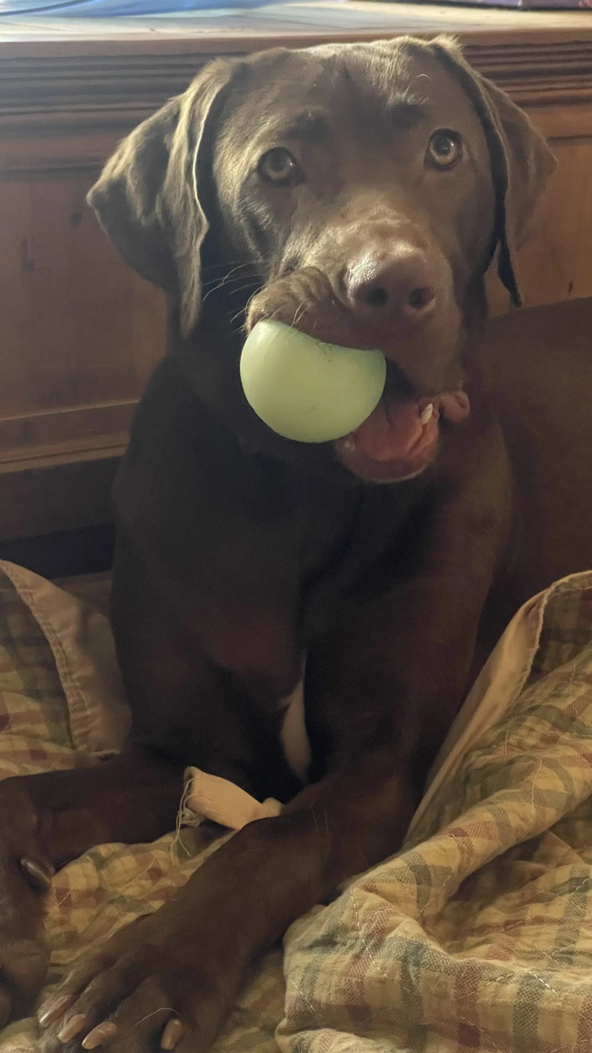 Ella Mae Roo image 3