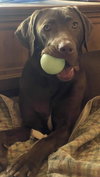 Ella Mae Roo - Photo 3
