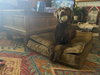 Ella Mae Roo - Photo 6