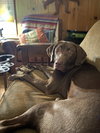 Ella Mae Roo - Photo 9