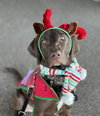 Ella Mae Roo - Photo 11