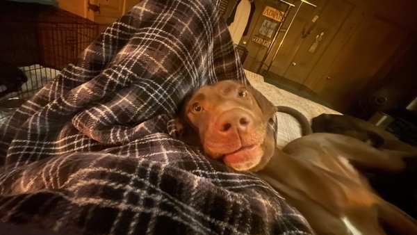Ella Mae Roo