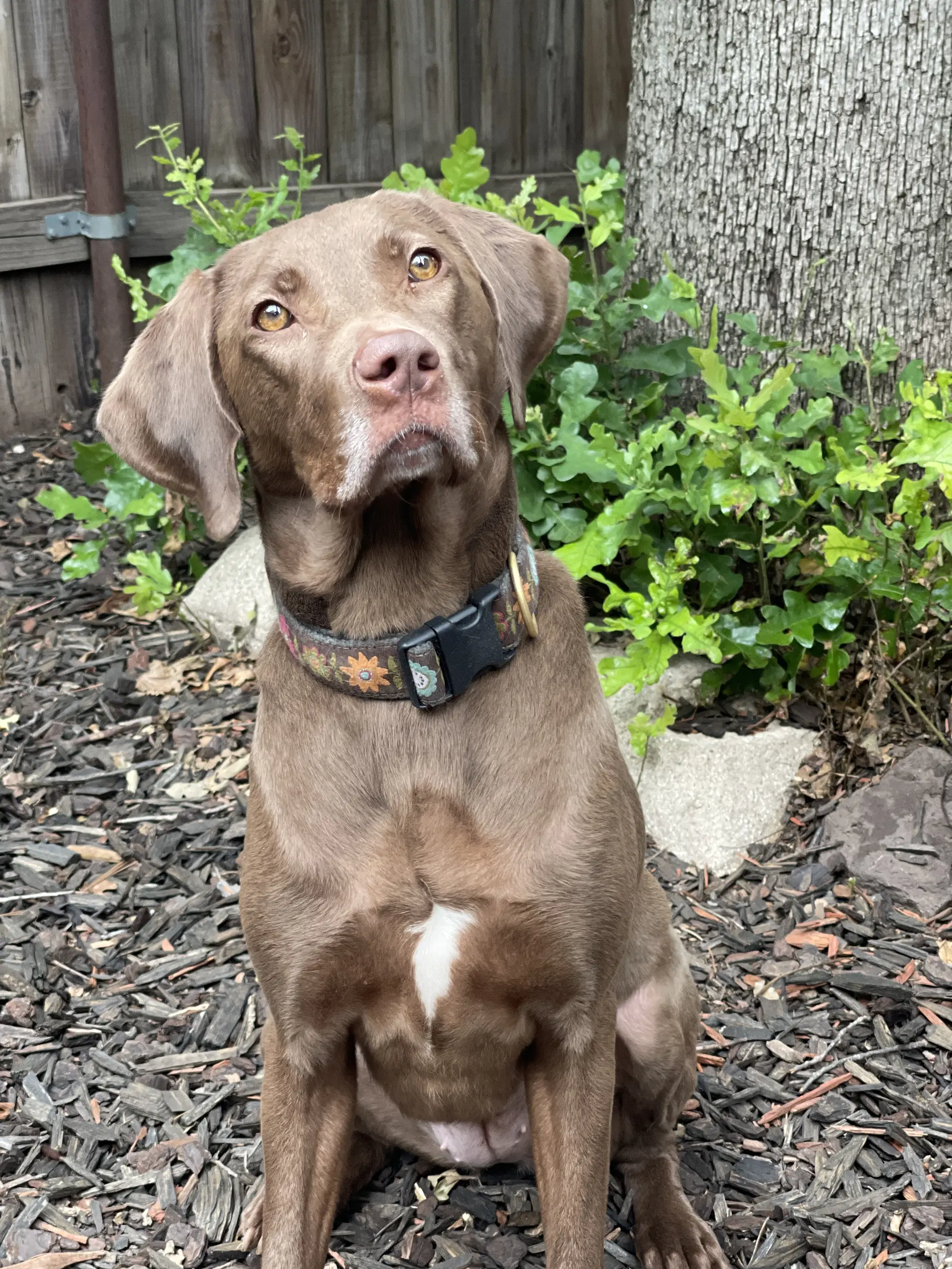 Ella Mae Roo image 4