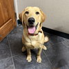 Tucker