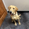 Tucker