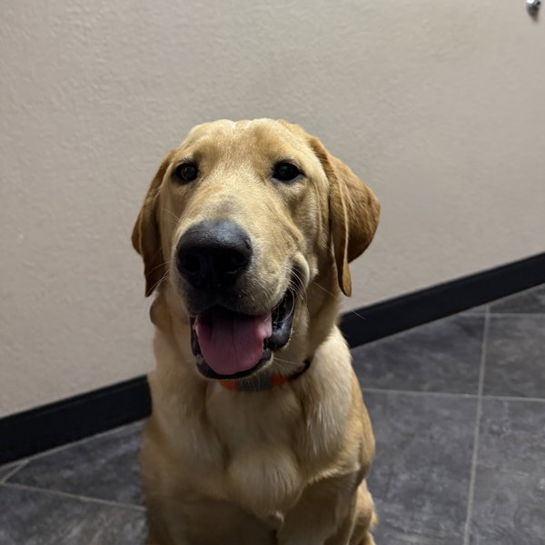 Tucker